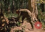 Standbild 101st Airborne Division Se San Kambodscha, 1970, aus Sekunde 17 historischem Filmmaterial Videoclip 65675038730
