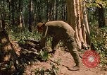 Standbild 101st Airborne Division Se San Kambodscha, 1970, aus Sekunde 18 historischem Filmmaterial Videoclip 65675038730