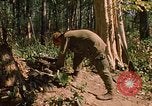 Standbild 101st Airborne Division Se San Kambodscha, 1970, aus Sekunde 19 historischem Filmmaterial Videoclip 65675038730