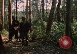 Standbild 101st Airborne Division Se San Kambodscha, 1970, aus Sekunde 62 historischem Filmmaterial Videoclip 65675038730