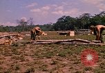Standbild 101st Airborne Division Soldaten bauen Bunker Papageien Schnabel Kambodscha, 1970, aus Sekunde 57 historischem Filmmaterial Videoclip 65675038731