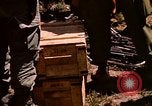 Image of 101st Airborne Division Parrots Beak Cambodia, 1970, second 15 stock footage video 65675038736