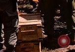 Image of 101st Airborne Division Parrots Beak Cambodia, 1970, second 16 stock footage video 65675038736