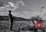 Image of American spy plane United States USA, 1945, second 38 stock footage video 65675038750