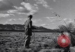 Image of American spy plane United States USA, 1945, second 40 stock footage video 65675038750