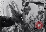 Image of American people United States USA, 1943, second 39 stock footage video 65675038751