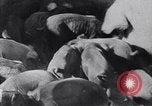 Image of American people United States USA, 1943, second 41 stock footage video 65675038751