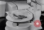 Image of American people United States USA, 1943, second 54 stock footage video 65675038751