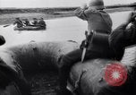 Standbild Deutsche und Rumänische Truppen Pyatigorsk Russland, 1942, aus Sekunde 24 historischem Filmmaterial Videoclip 65675038756