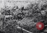 Standbild Deutsche und Rumänische Truppen Pyatigorsk Russland, 1942, aus Sekunde 44 historischem Filmmaterial Videoclip 65675038756