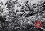 Standbild Deutsche und Rumänische Truppen Pyatigorsk Russland, 1942, aus Sekunde 47 historischem Filmmaterial Videoclip 65675038756