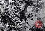 Standbild Deutsche und Rumänische Truppen Pyatigorsk Russland, 1942, aus Sekunde 57 historischem Filmmaterial Videoclip 65675038756