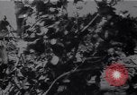 Standbild Deutsche und Rumänische Truppen Pyatigorsk Russland, 1942, aus Sekunde 61 historischem Filmmaterial Videoclip 65675038756