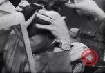Image of Captain Hans-Joachim Marseille Crimea, 1942, second 35 stock footage video 65675038758