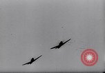 Image of Captain Hans-Joachim Marseille Crimea, 1942, second 60 stock footage video 65675038758