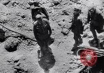 Image of General Erich von Manstein Crimea, 1942, second 14 stock footage video 65675038759