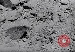 Image of General Erich von Manstein Crimea, 1942, second 23 stock footage video 65675038759
