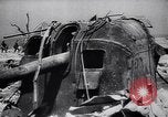 Image of General Erich von Manstein Crimea, 1942, second 37 stock footage video 65675038759