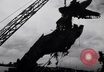 Image of Japanese torpedo plane Pearl Harbor Hawaii USA, 1941, second 12 stock footage video 65675038763