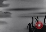 Standbild Mosquito squadron United States USA, 1944, aus Sekunde 41 historischem Filmmaterial Videoclip 65675038773
