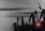 Standbild Mosquito squadron United States USA, 1944, aus Sekunde 42 historischem Filmmaterial Videoclip 65675038773