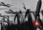 Standbild Mosquito squadron United States USA, 1944, aus Sekunde 43 historischem Filmmaterial Videoclip 65675038773