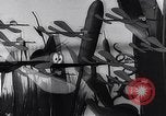 Standbild Mosquito squadron United States USA, 1944, aus Sekunde 44 historischem Filmmaterial Videoclip 65675038773