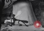 Standbild Mosquito squadron United States USA, 1944, aus Sekunde 51 historischem Filmmaterial Videoclip 65675038773