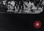 Image of Nazi tanks Eastern Front, 1941, second 57 stock footage video 65675038775
