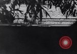 Image of Nazi tanks Eastern Front, 1941, second 58 stock footage video 65675038775