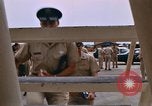 Standbild Lieutenant General Wilson Udorn Royal Thai Air Force Base Thailand, 1969, aus Sekunde 43 historischem Filmmaterial Videoclip 65675038786