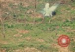 Standbild 56 Special Operations Wing Udorn Royal Thai Air Force Base Thailand, 1972, aus Sekunde 18 historischem Filmmaterial Videoclip 65675038805