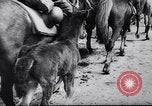 Image 1ère Division de cavalerie Cossack à Zagreb Zagreb Croatie, 1944, de la seconde 20 séquences d'archives historiques vidéo 65675038827