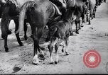 Image 1ère Division de cavalerie Cossack à Zagreb Zagreb Croatie, 1944, de la seconde 21 séquences d'archives historiques vidéo 65675038827