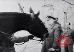 Standbild Feldmarschall Ernst Busch hat 40 Jahre Service Belarus, 1944, aus Sekunde 14 historischem Filmmaterial Videoclip 65675038828