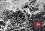 Image l'infanterie allemande opérant dans les marais en hiver l'Ukraine, 1944, de la seconde 11 séquences d'archives historiques vidéo 65675038829