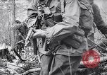 Image l'infanterie allemande opérant dans les marais en hiver l'Ukraine, 1944, de la seconde 12 séquences d'archives historiques vidéo 65675038829