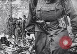 Image l'infanterie allemande opérant dans les marais en hiver l'Ukraine, 1944, de la seconde 15 séquences d'archives historiques vidéo 65675038829