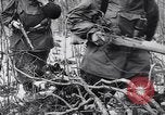 Image l'infanterie allemande opérant dans les marais en hiver l'Ukraine, 1944, de la seconde 18 séquences d'archives historiques vidéo 65675038829