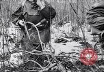 Image l'infanterie allemande opérant dans les marais en hiver l'Ukraine, 1944, de la seconde 19 séquences d'archives historiques vidéo 65675038829