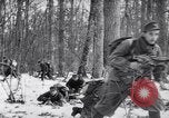 Image l'infanterie allemande opérant dans les marais en hiver l'Ukraine, 1944, de la seconde 20 séquences d'archives historiques vidéo 65675038829