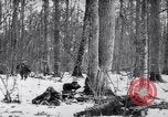 Image l'infanterie allemande opérant dans les marais en hiver l'Ukraine, 1944, de la seconde 21 séquences d'archives historiques vidéo 65675038829