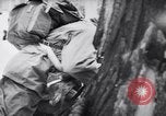 Image l'infanterie allemande opérant dans les marais en hiver l'Ukraine, 1944, de la seconde 22 séquences d'archives historiques vidéo 65675038829