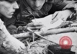 Image l'infanterie allemande opérant dans les marais en hiver l'Ukraine, 1944, de la seconde 29 séquences d'archives historiques vidéo 65675038829