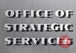 Image of Adolf Hitler Berln Germany, 1944, second 3 stock footage video 65675038839