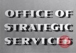 Image of Adolf Hitler Berln Germany, 1944, second 6 stock footage video 65675038839