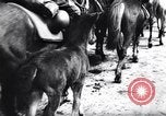 Image Le Feld-maréchal allemand Paul Ludwig von Kleist Zagreb Croatie, 1944, de la seconde 20 séquences d'archives historiques vidéo 65675038842