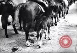 Image Le Feld-maréchal allemand Paul Ludwig von Kleist Zagreb Croatie, 1944, de la seconde 21 séquences d'archives historiques vidéo 65675038842