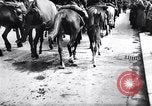 Image Le Feld-maréchal allemand Paul Ludwig von Kleist Zagreb Croatie, 1944, de la seconde 22 séquences d'archives historiques vidéo 65675038842