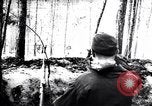 Image of Pripet Marshes Ukraine, 1944, second 5 stock footage video 65675038844